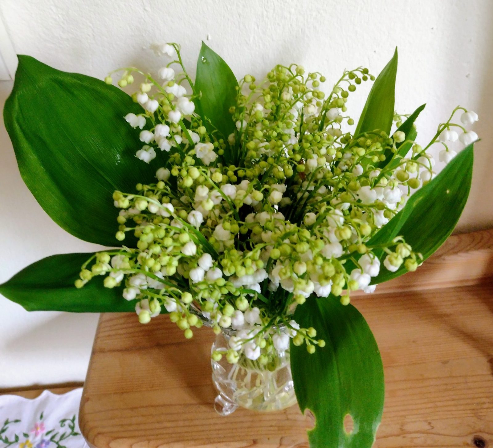 IMG_20230509_123313835