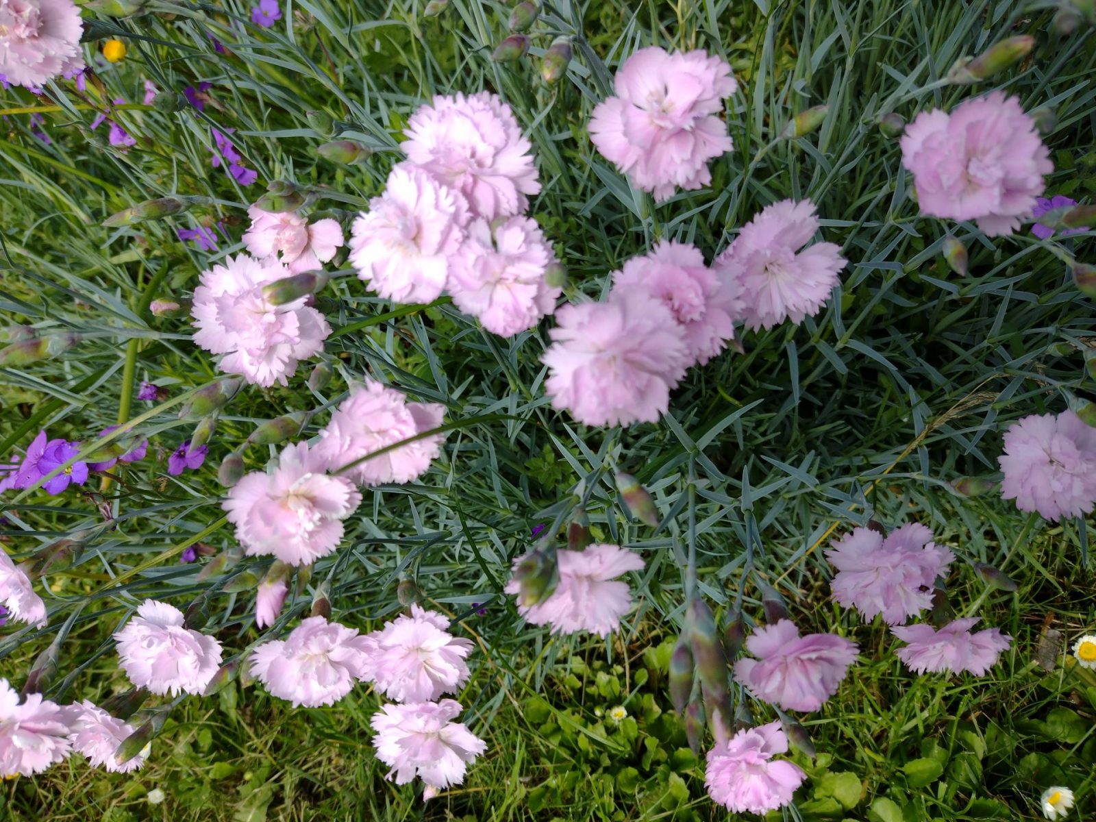 IMG_20230515_100915370