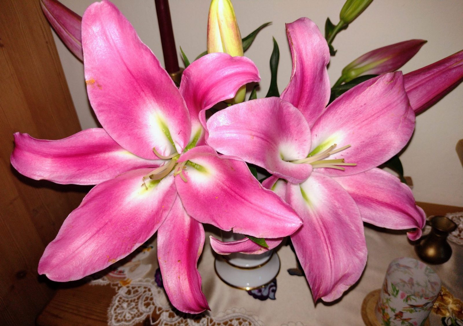 IMG_20230906_145443601