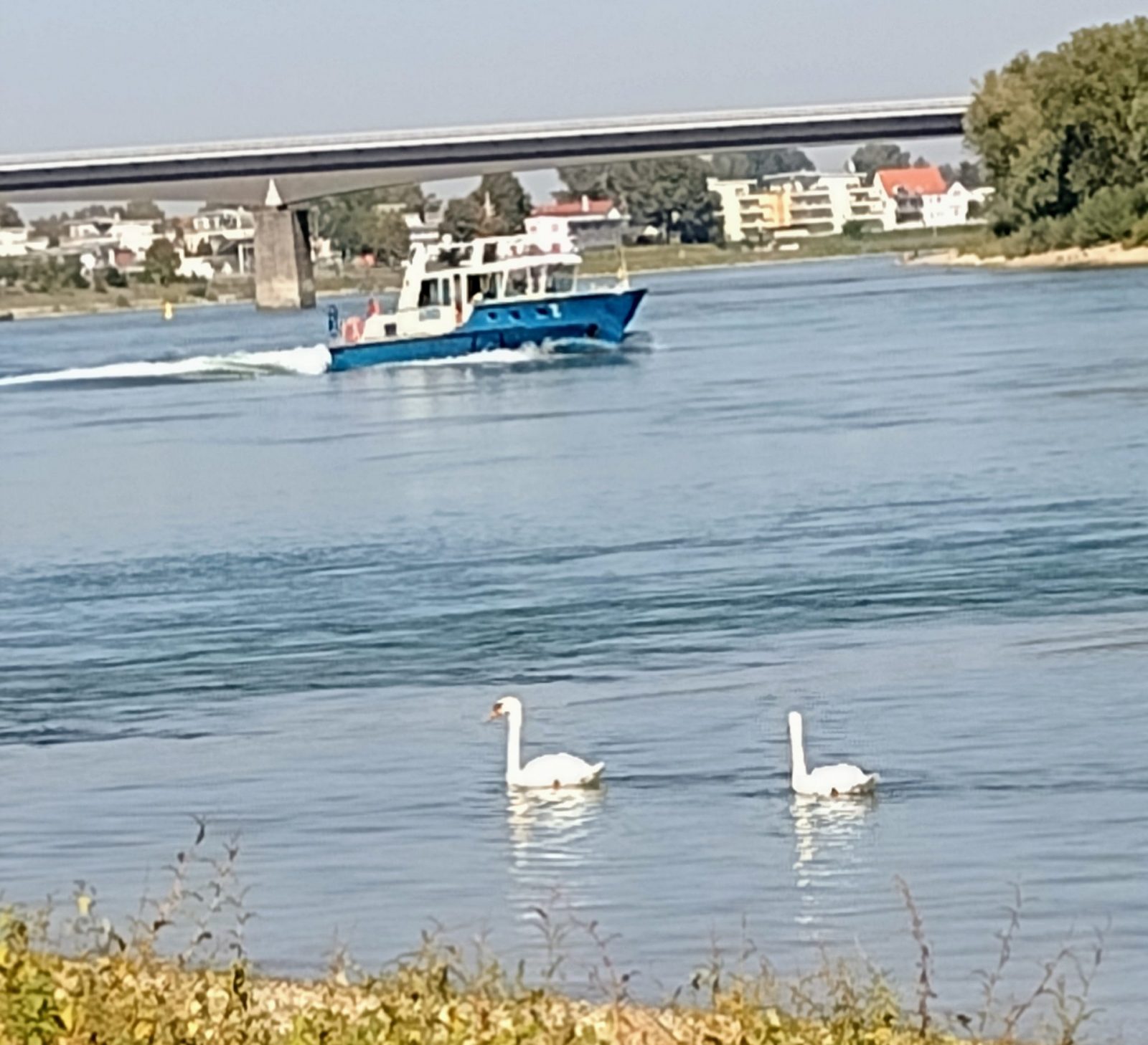 IMG_20230911_112717207