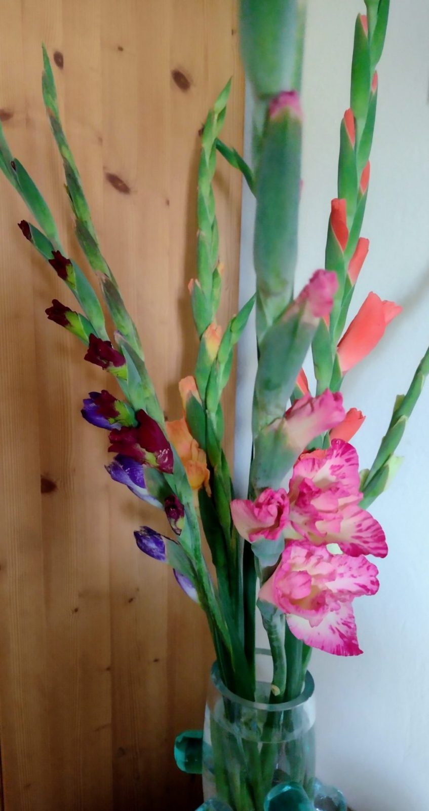 IMG_20230913_163450456