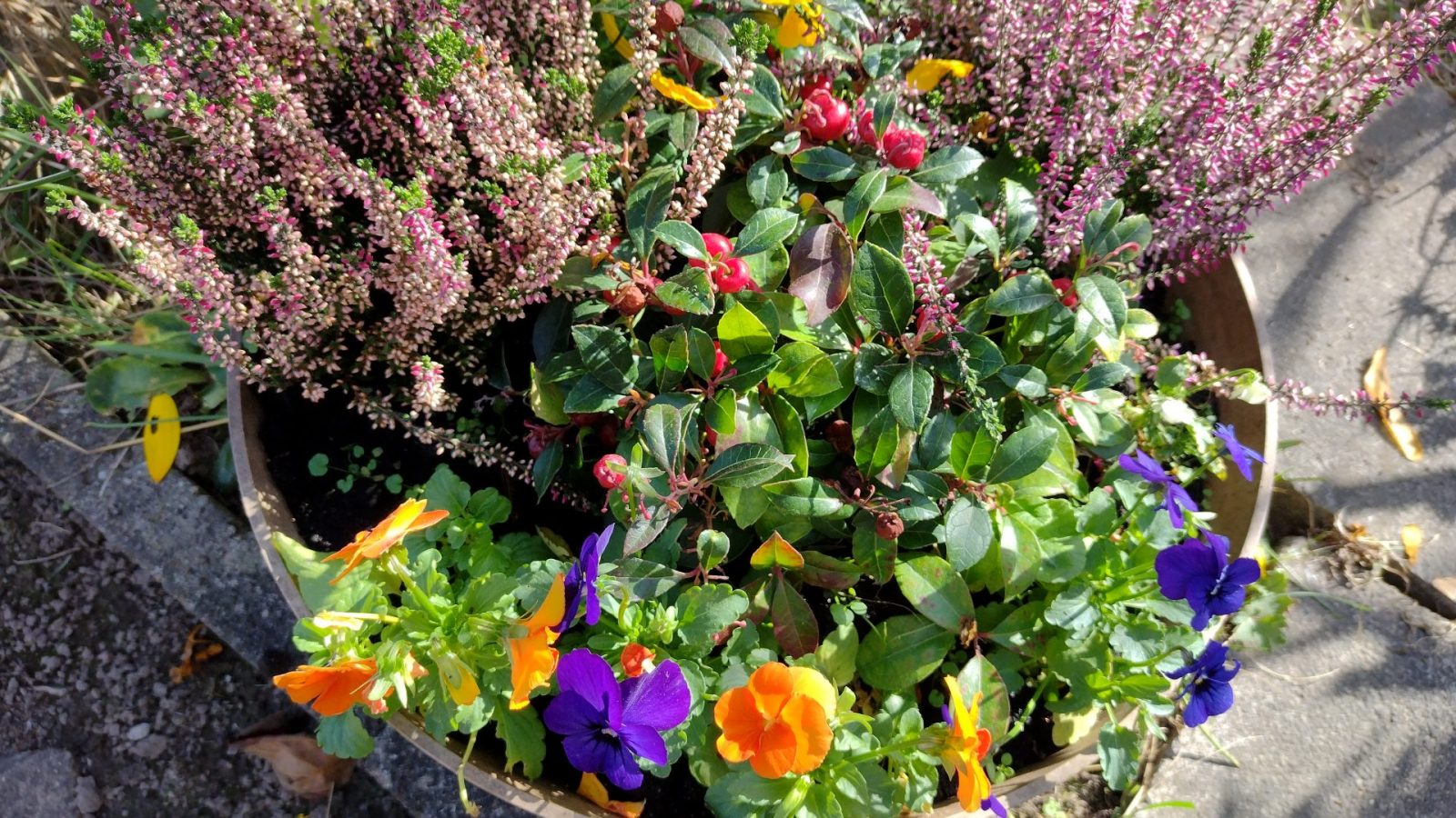 IMG_20231013_141113619