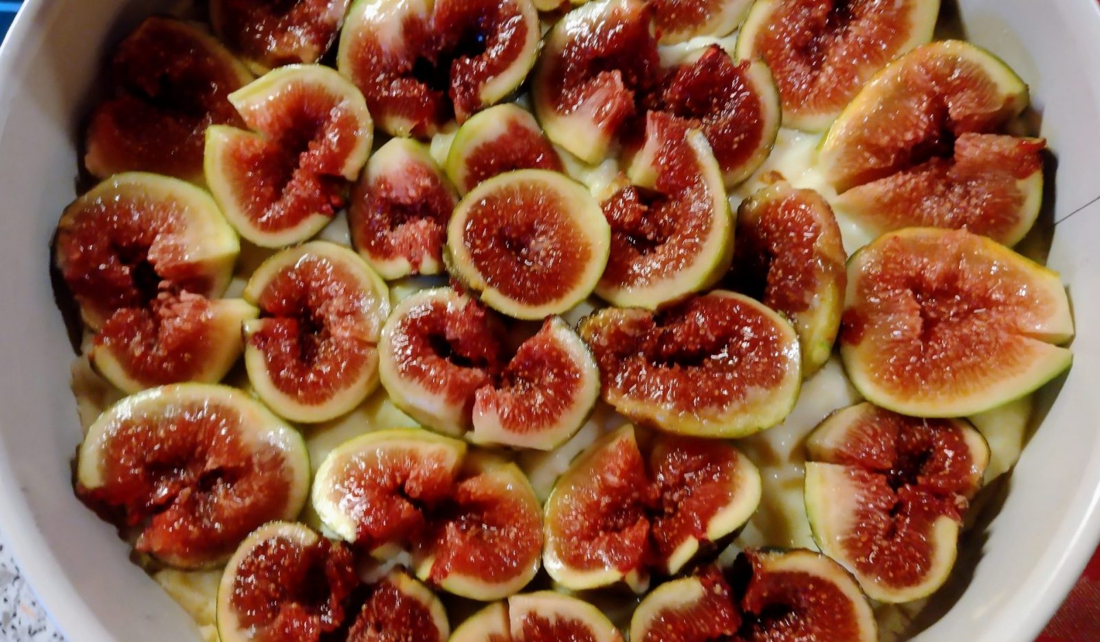 IMG_20231102_091930613