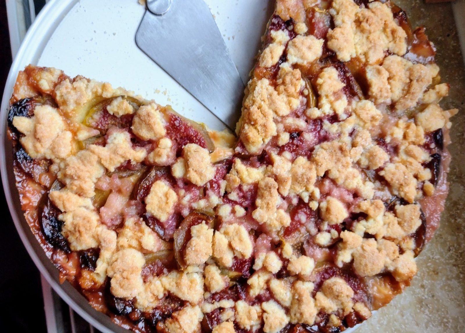 IMG_20231102_124410158