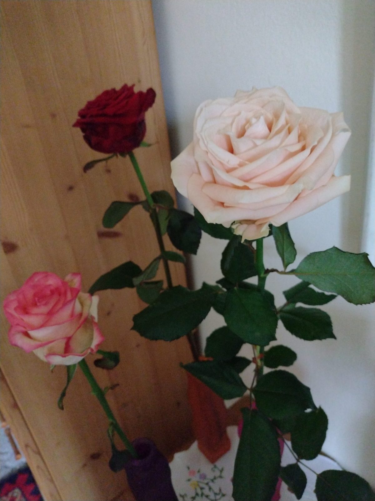 IMG_20231105_133840428