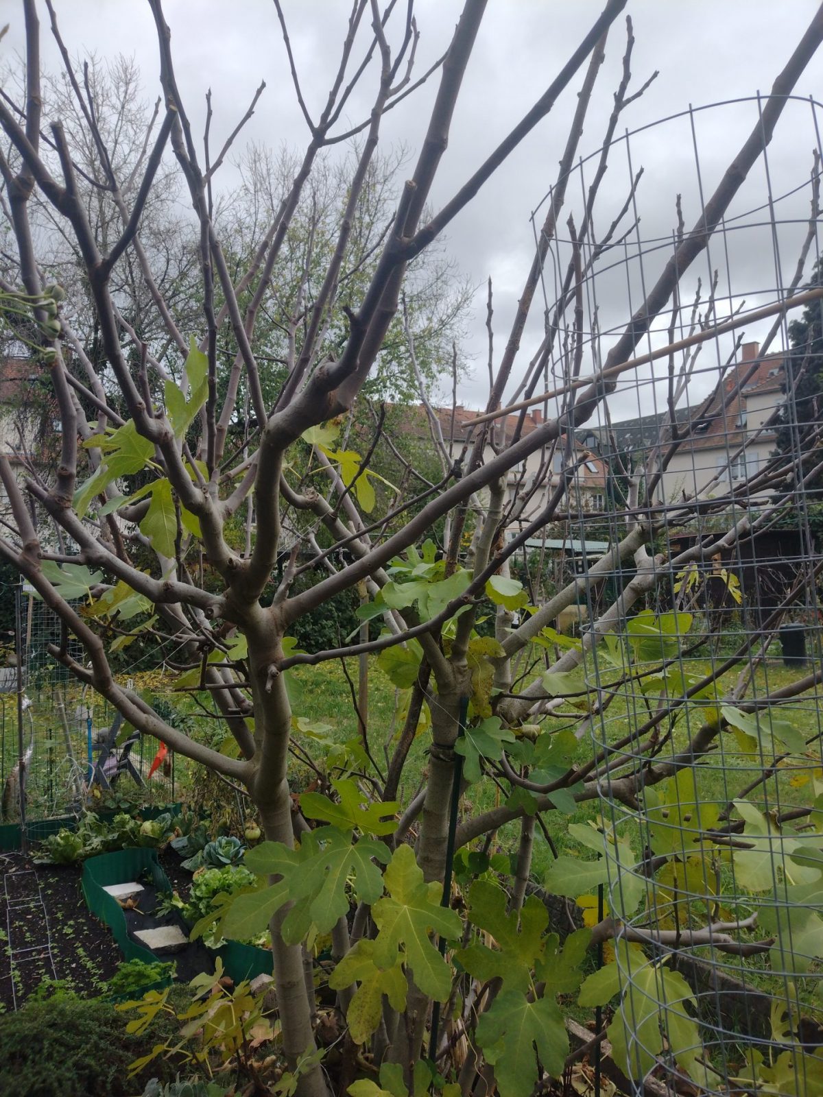 IMG_20231107_125306869