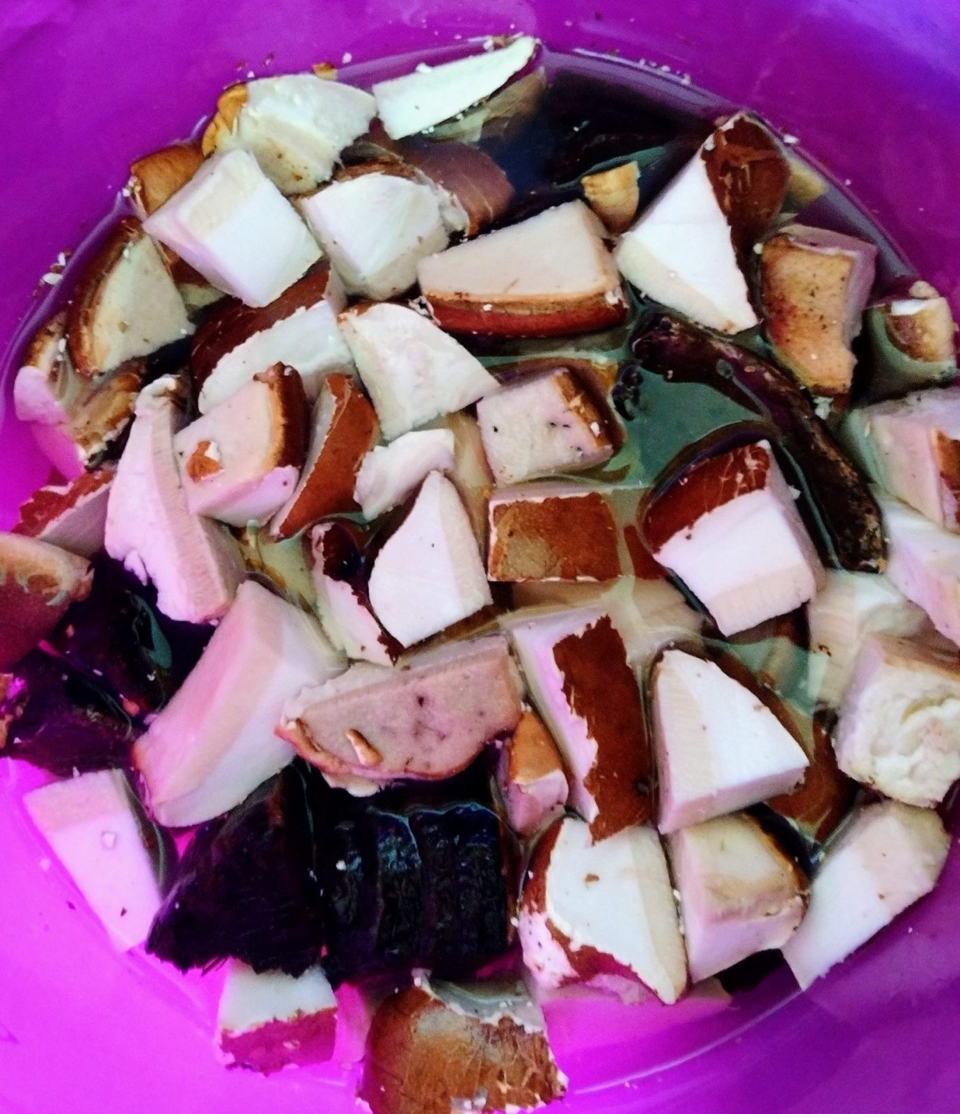 IMG_20231111_132026677