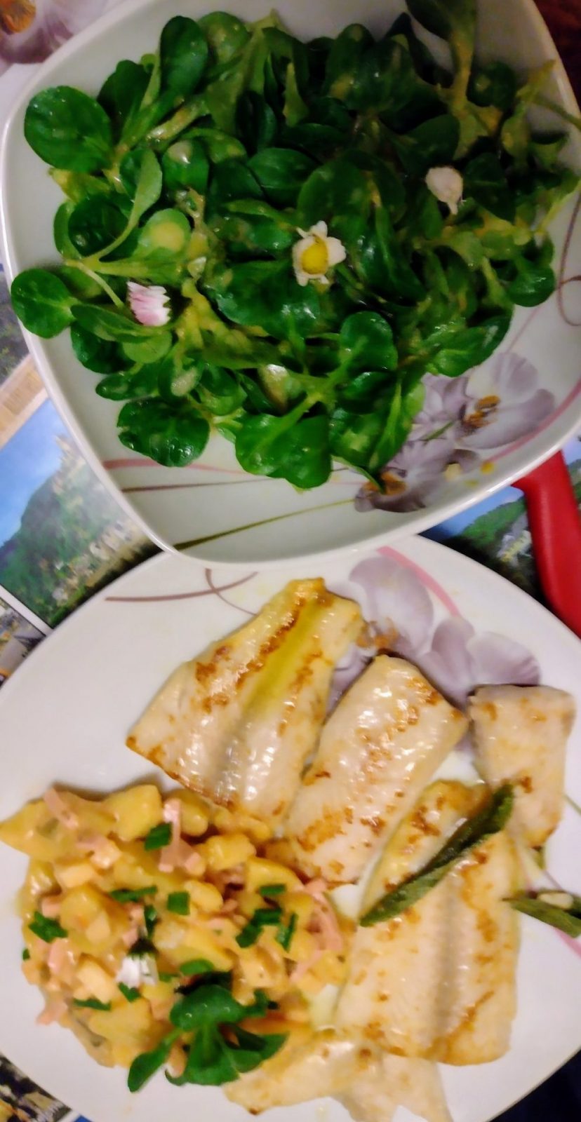 IMG_20240217_175113827