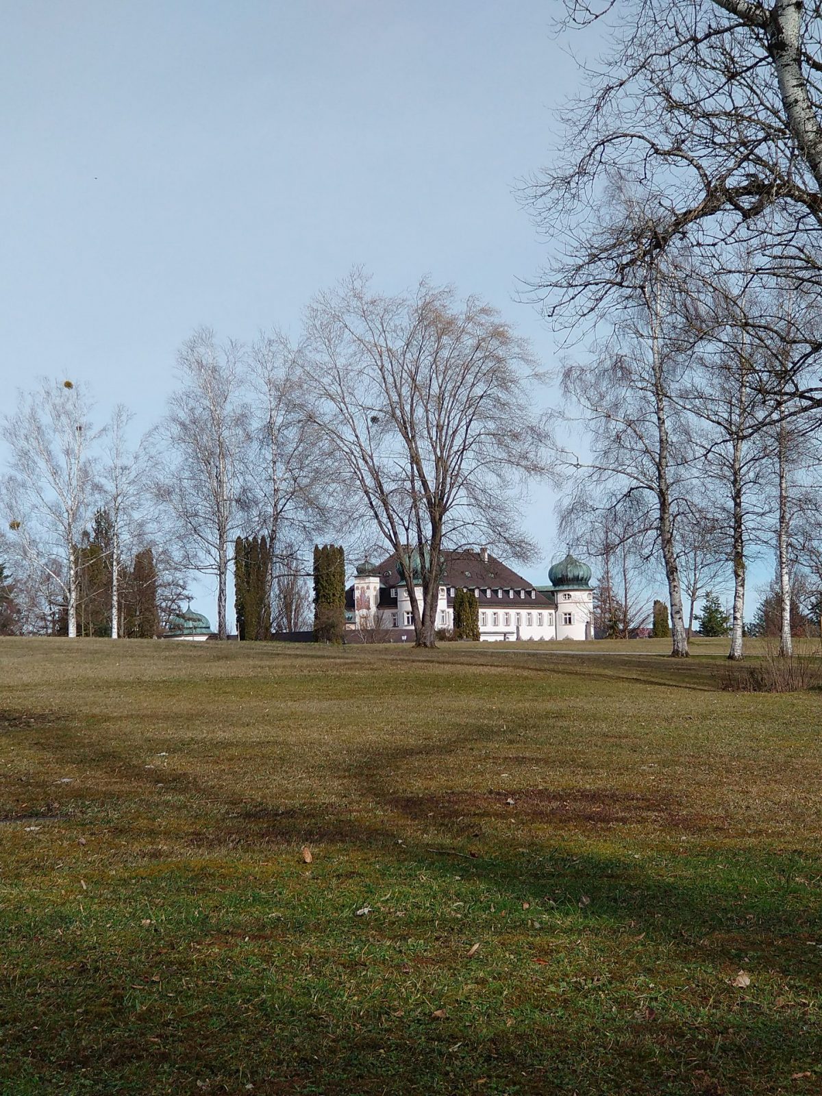 IMG_20240221_120718541_BURST000_COVER