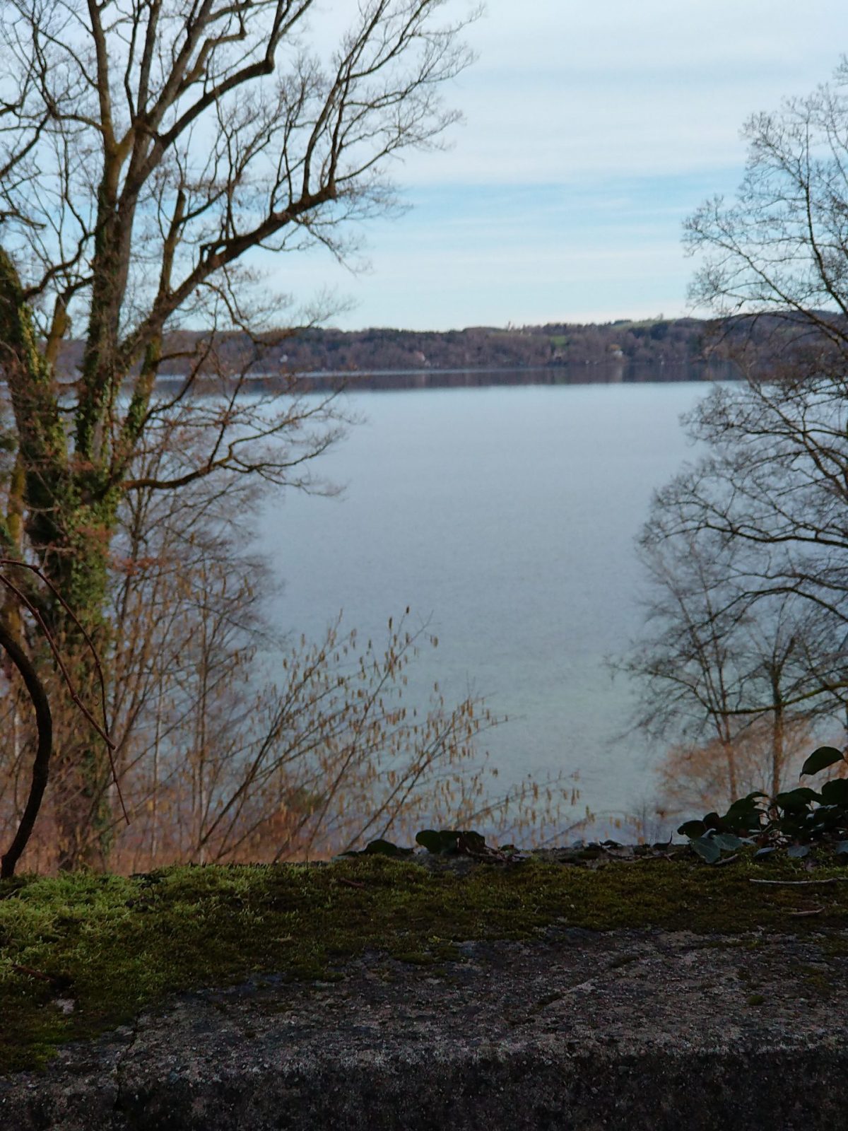 IMG_20240221_121537107_BURST000_COVER