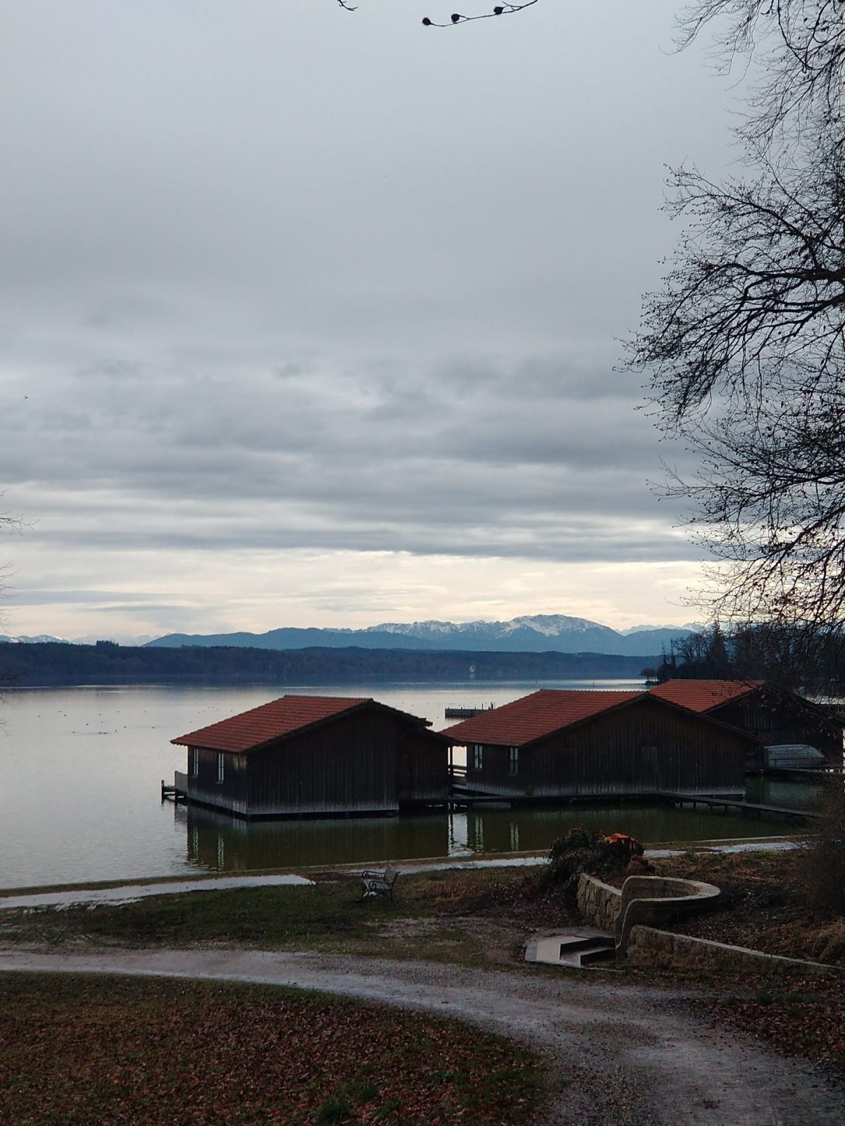 IMG_20240222_130609395_BURST001