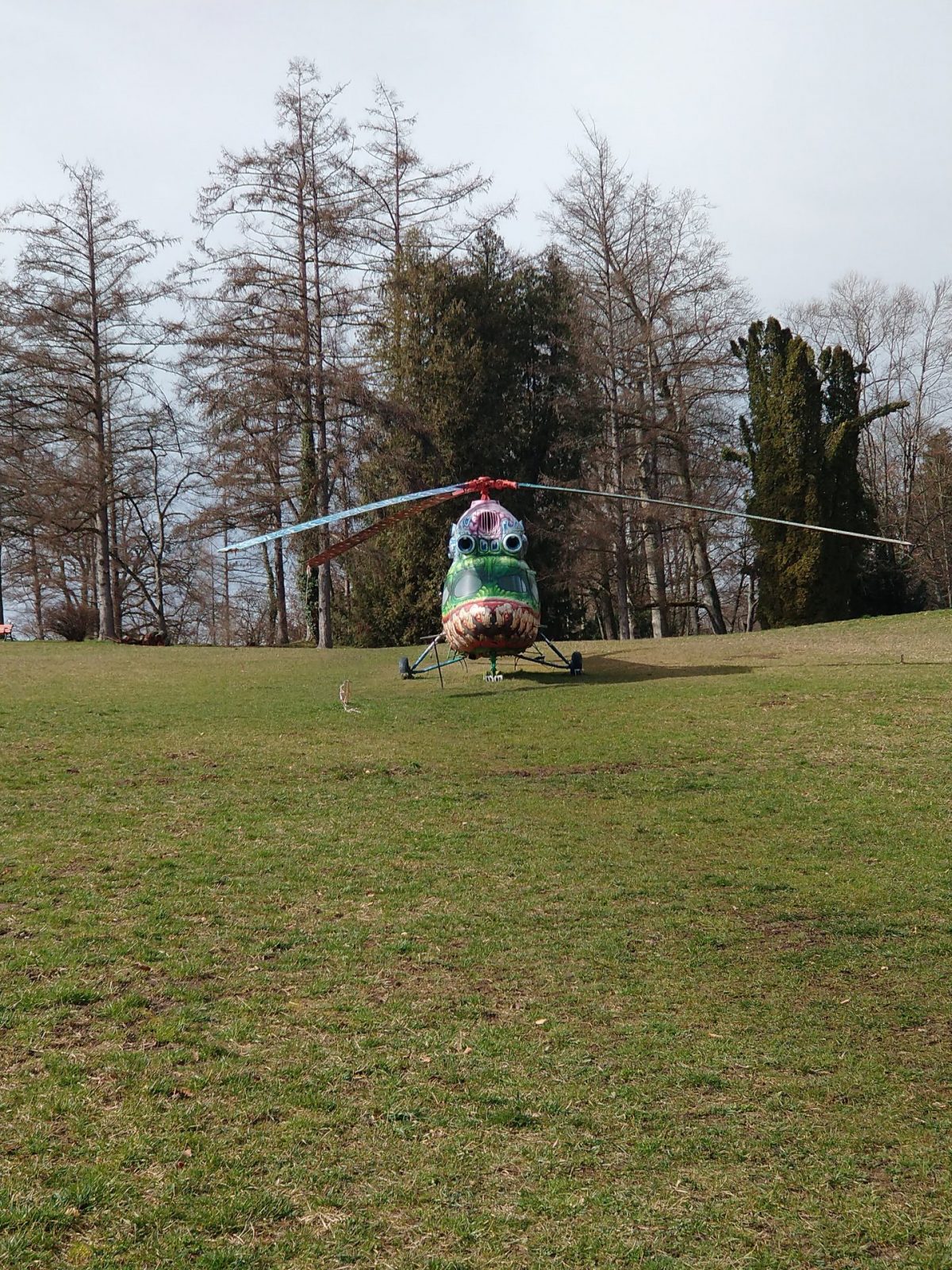 IMG_20240224_122329312_BURST001