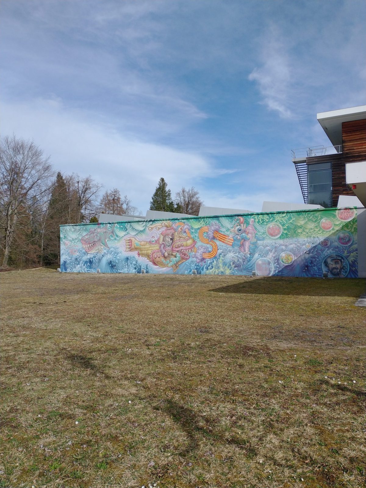 IMG_20240224_122509754_BURST000_COVER