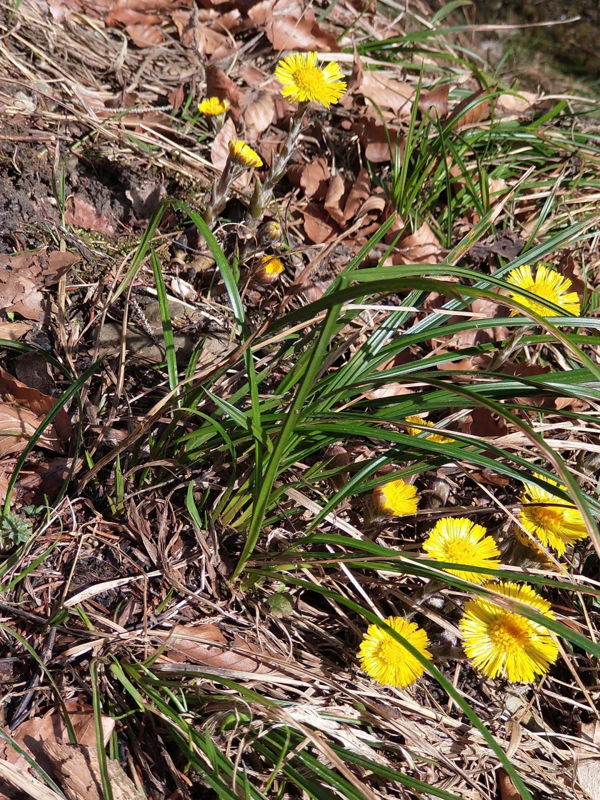 IMG_20240226_122002655_BURST000_COVER