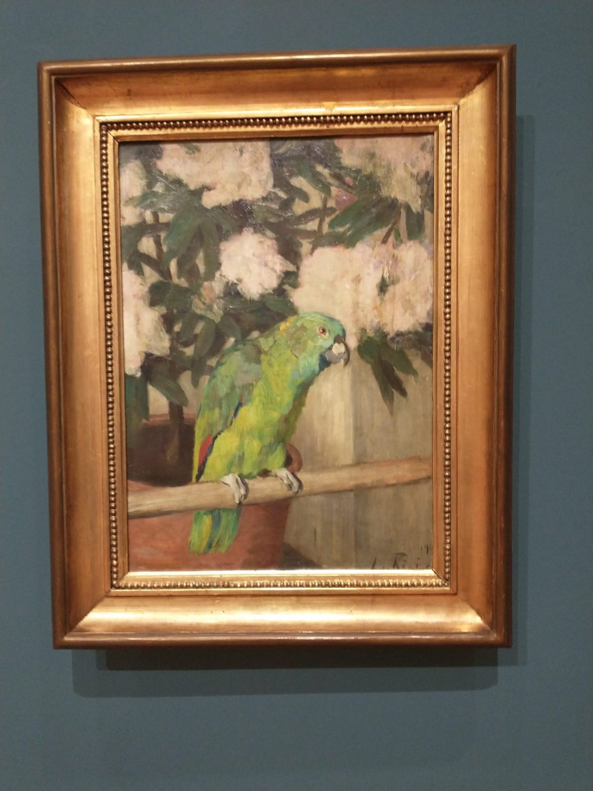 IMG_20240305_122503305_BURST001