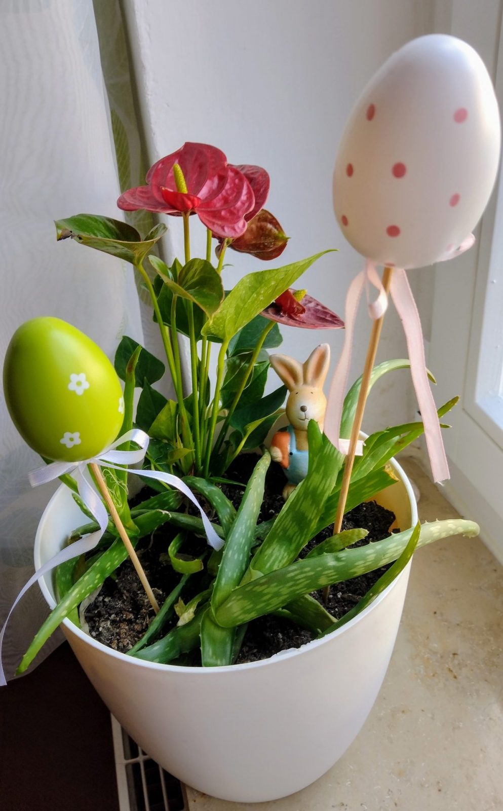 IMG_20240308_094321573