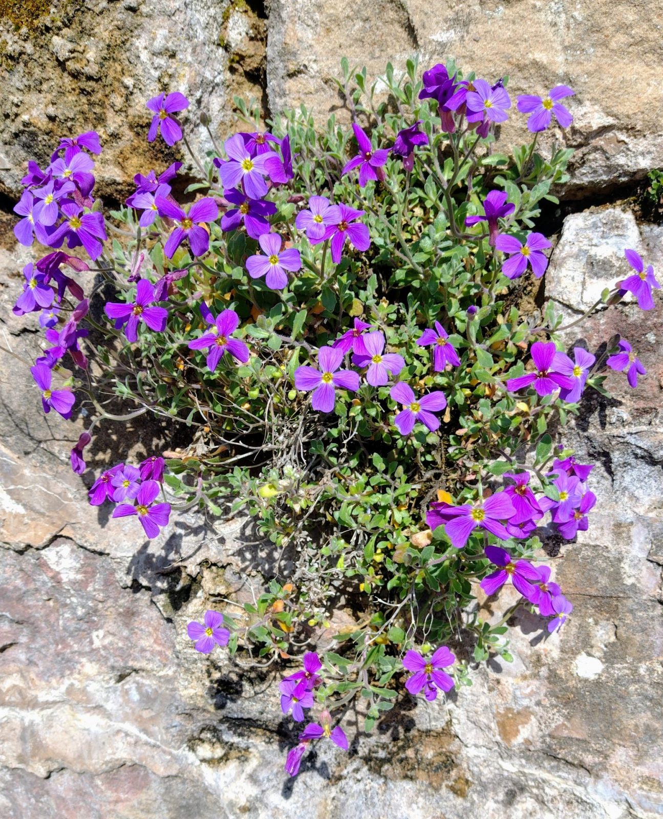 IMG_20240314_120407368