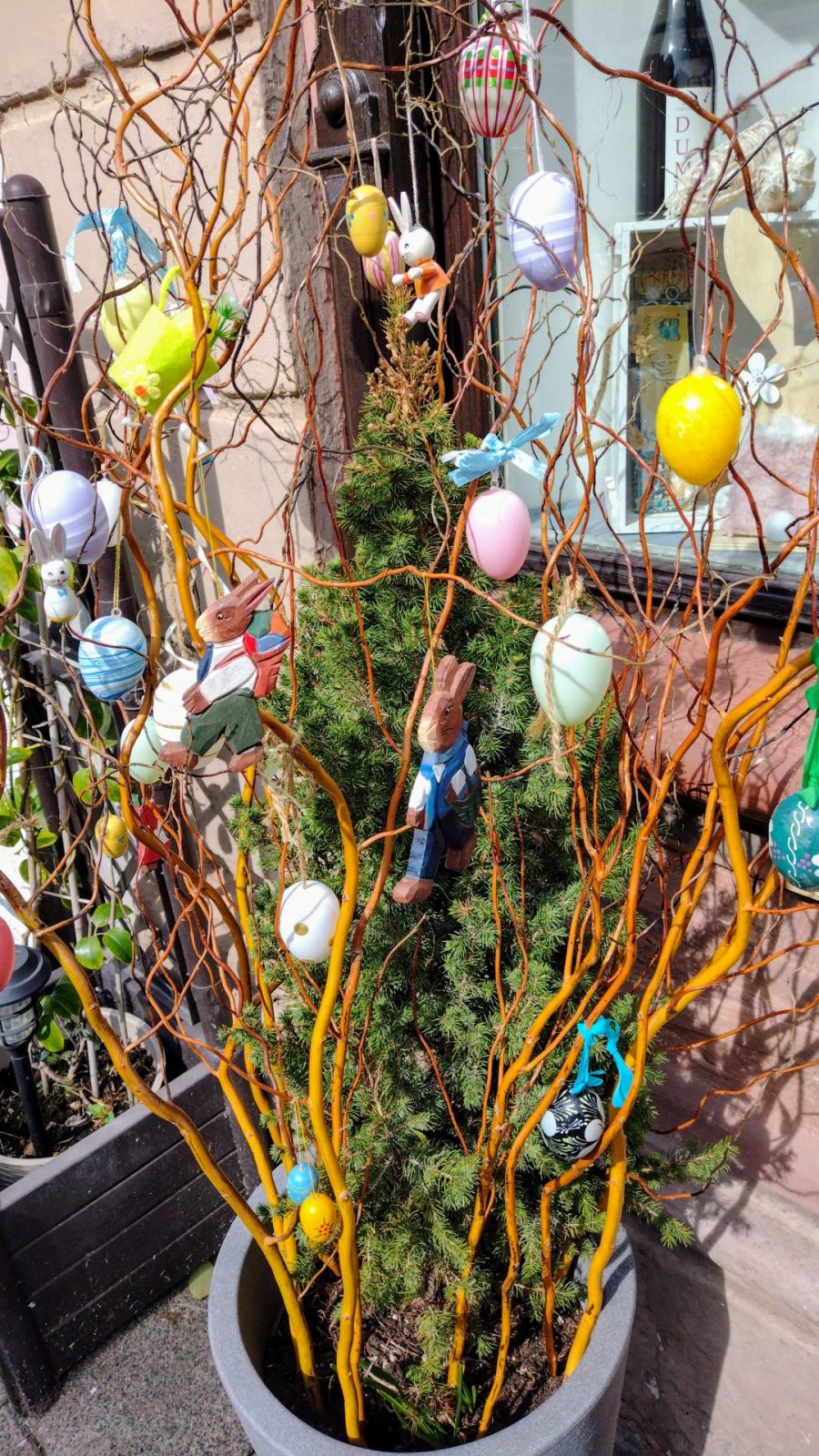 IMG_20240320_123040157