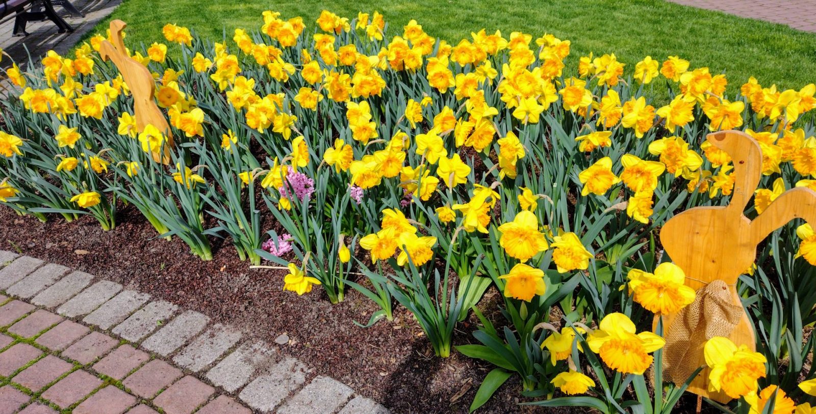 IMG_20240320_123633813