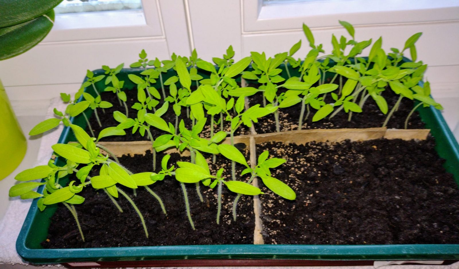 IMG_20240326_172324280