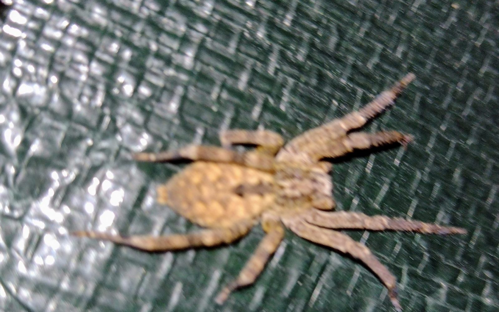 IMG_20240407_115045427