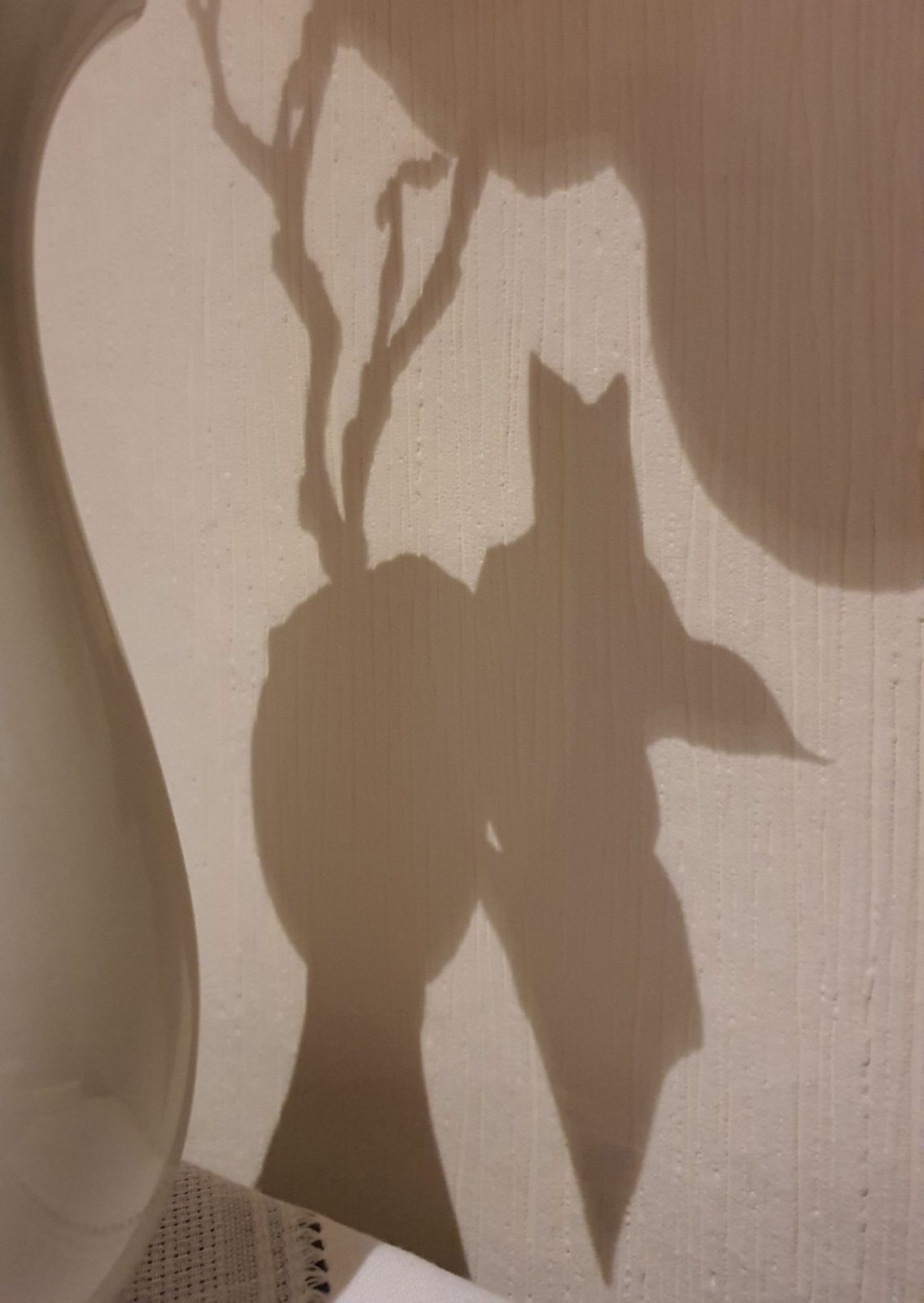 IMG_20240407_200506_434