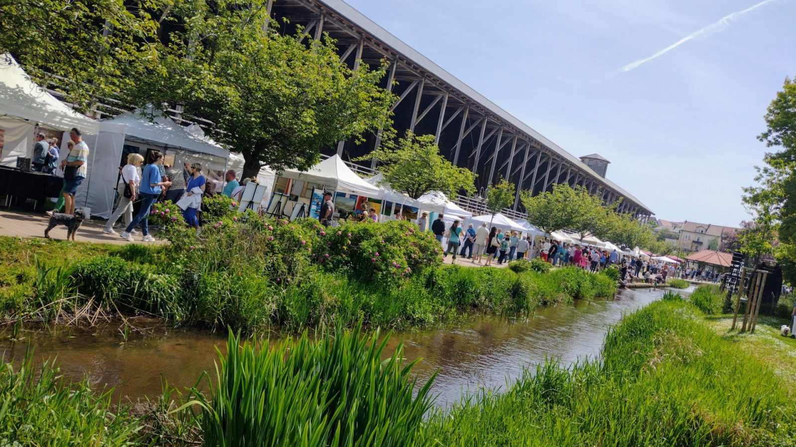 IMG_20240501_130916816