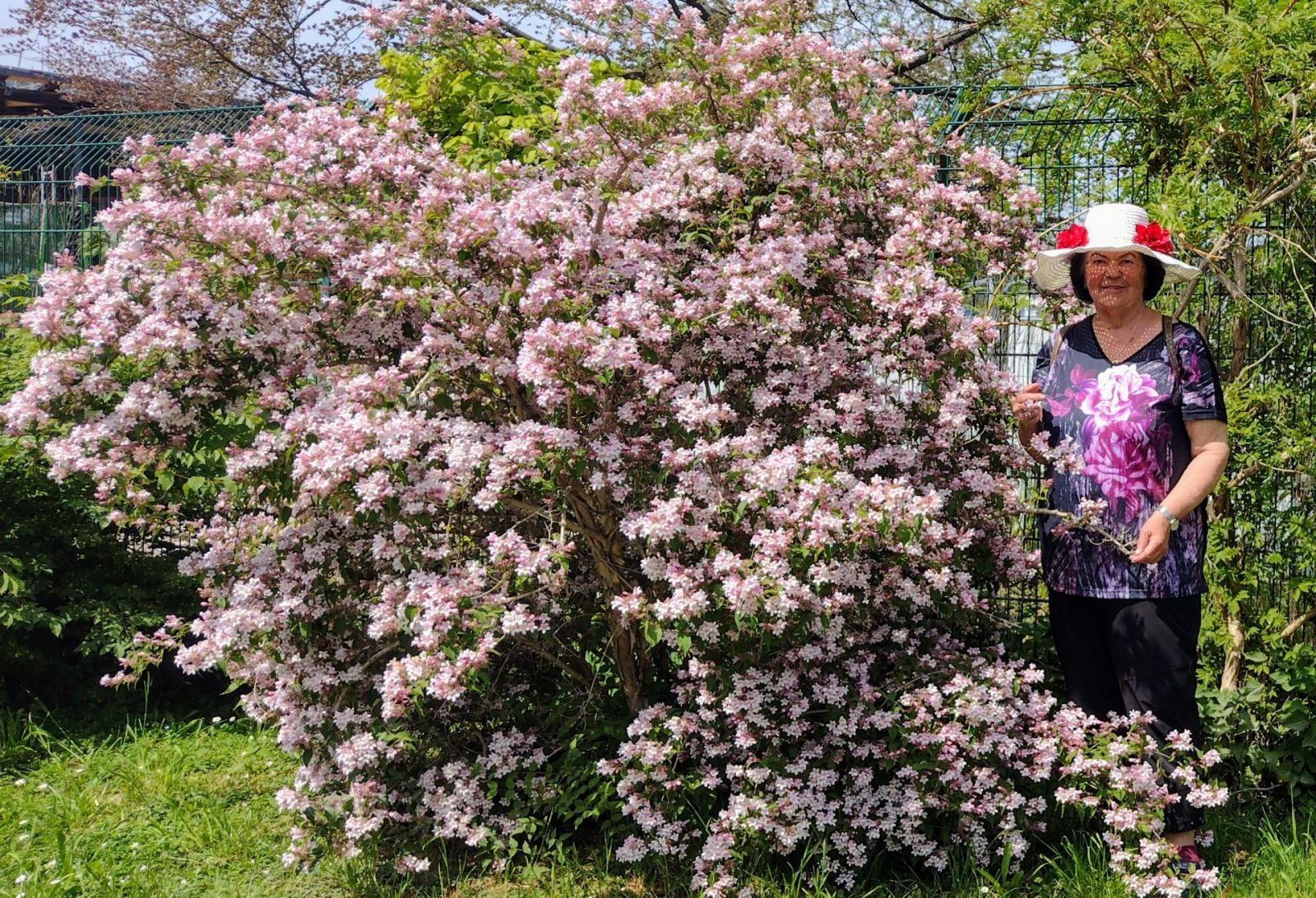 IMG_20240501_131412004