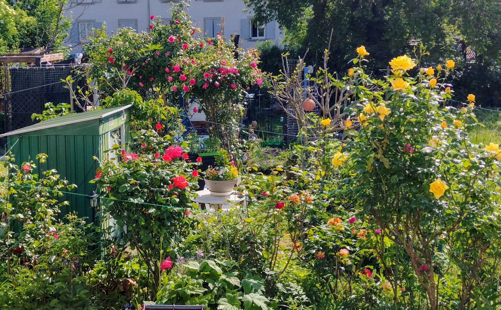 IMG_20240509_101602474