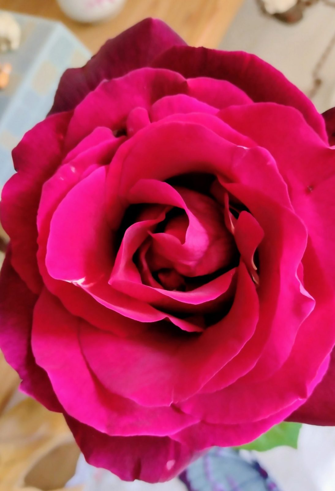 IMG_20240511_111459306