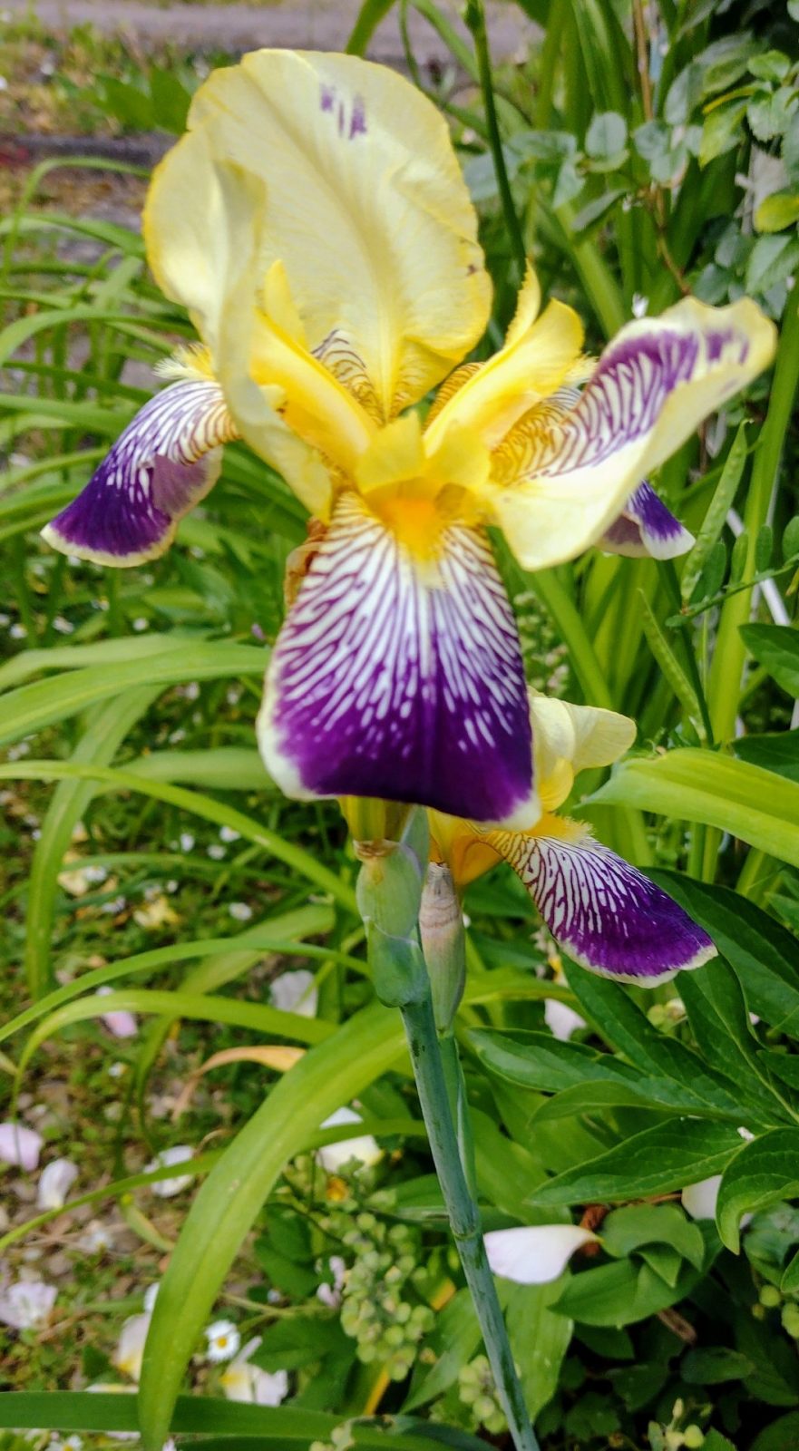 IMG_20240516_112804709