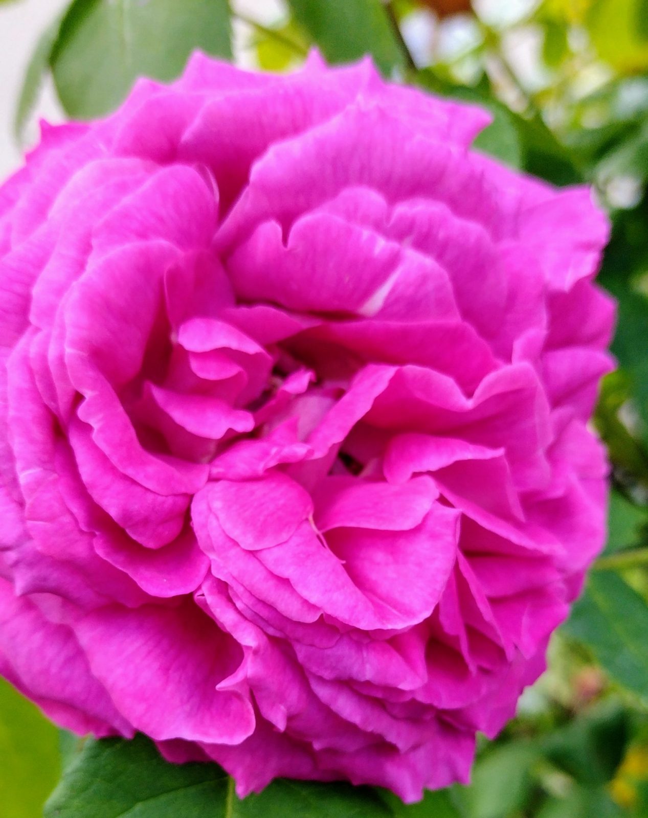 IMG_20240516_112946070