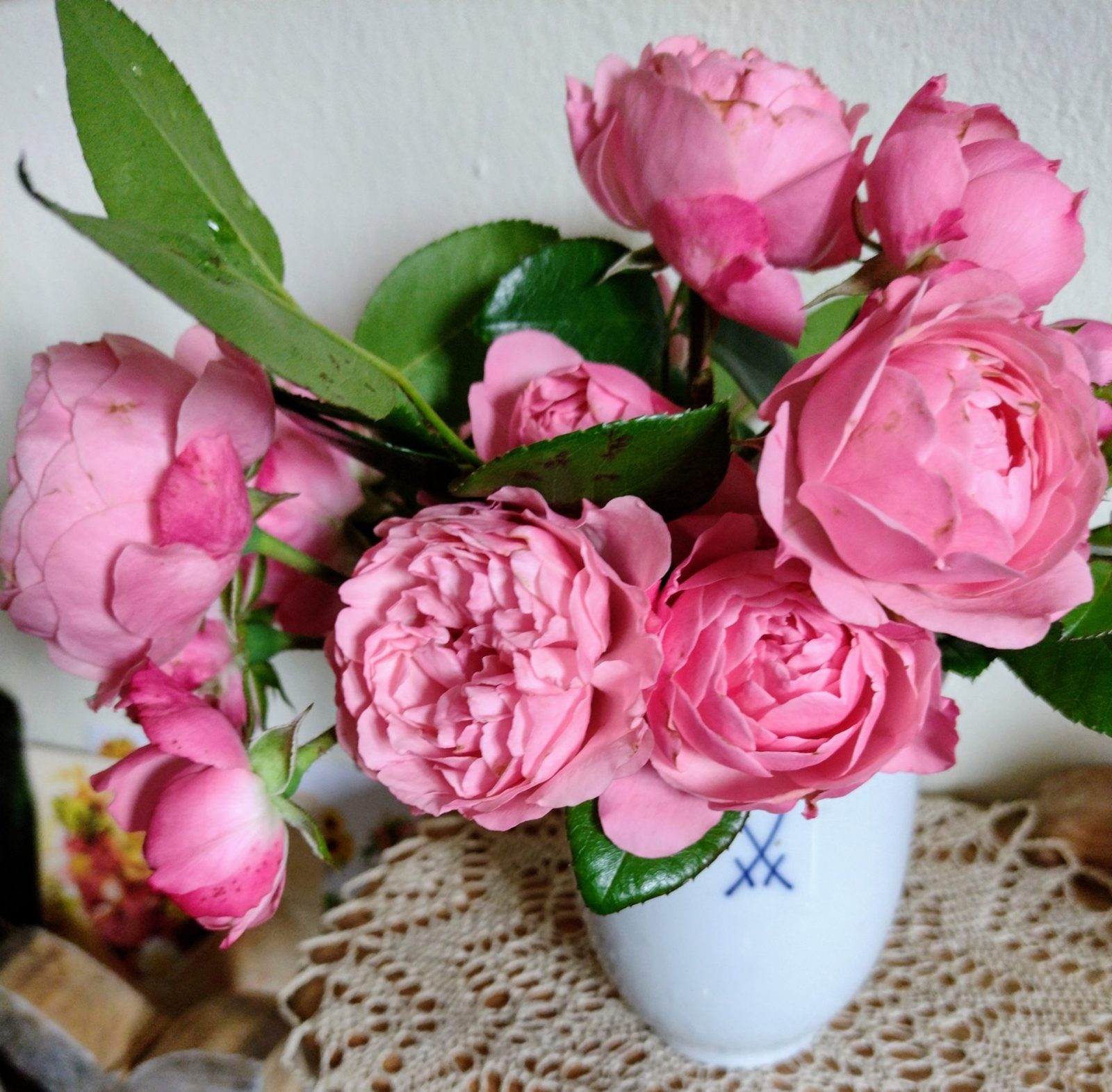 IMG_20240602_091720260