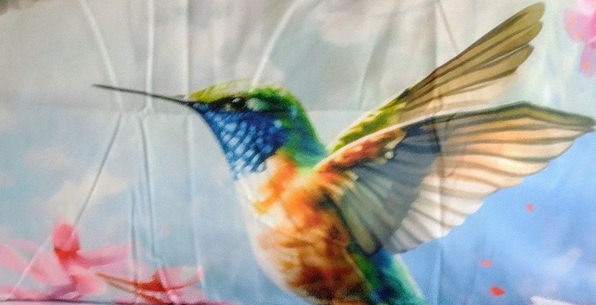 IMG_20240608_114138356