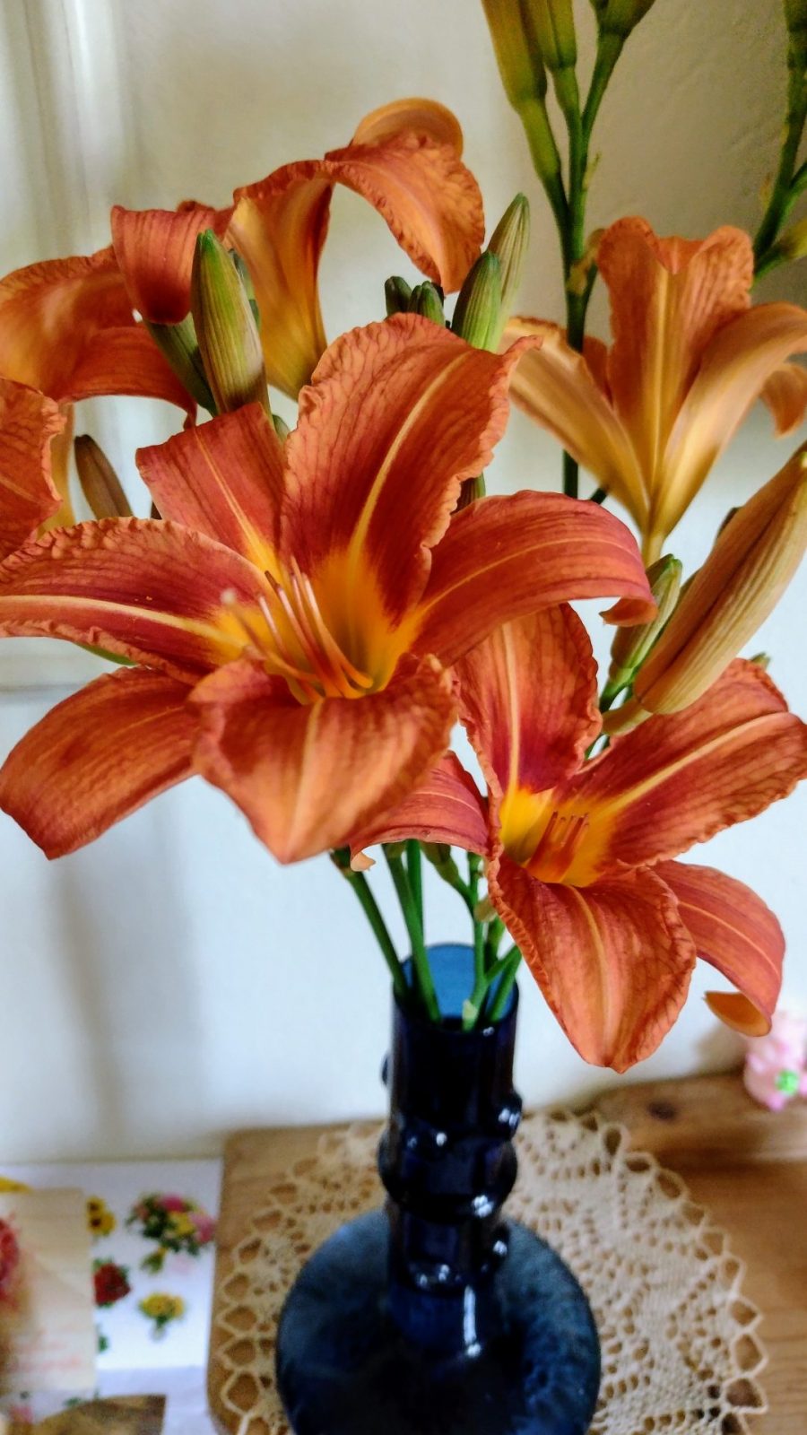 IMG_20240610_153331981