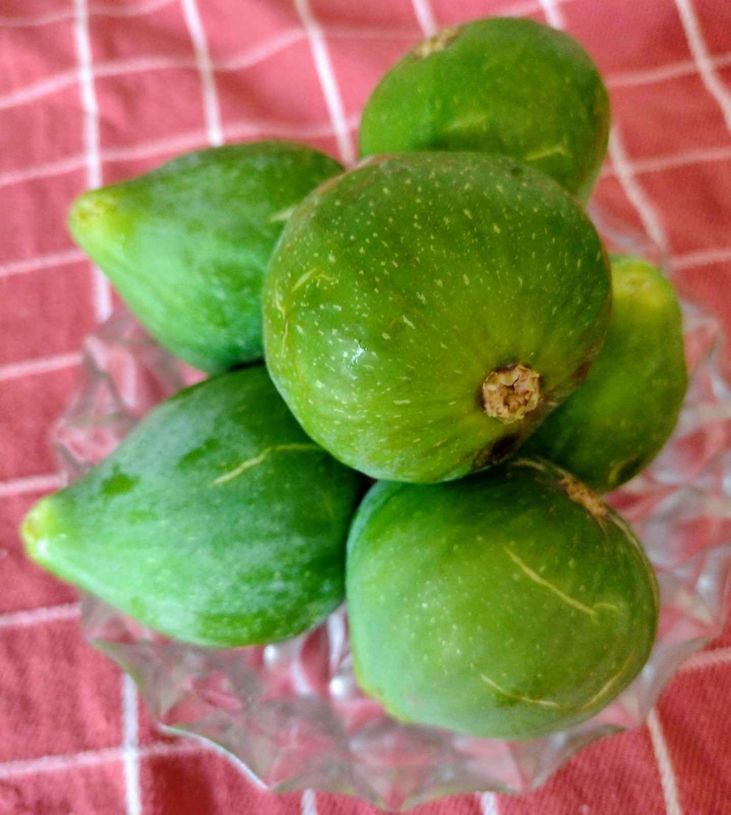 IMG_20240716_172238861