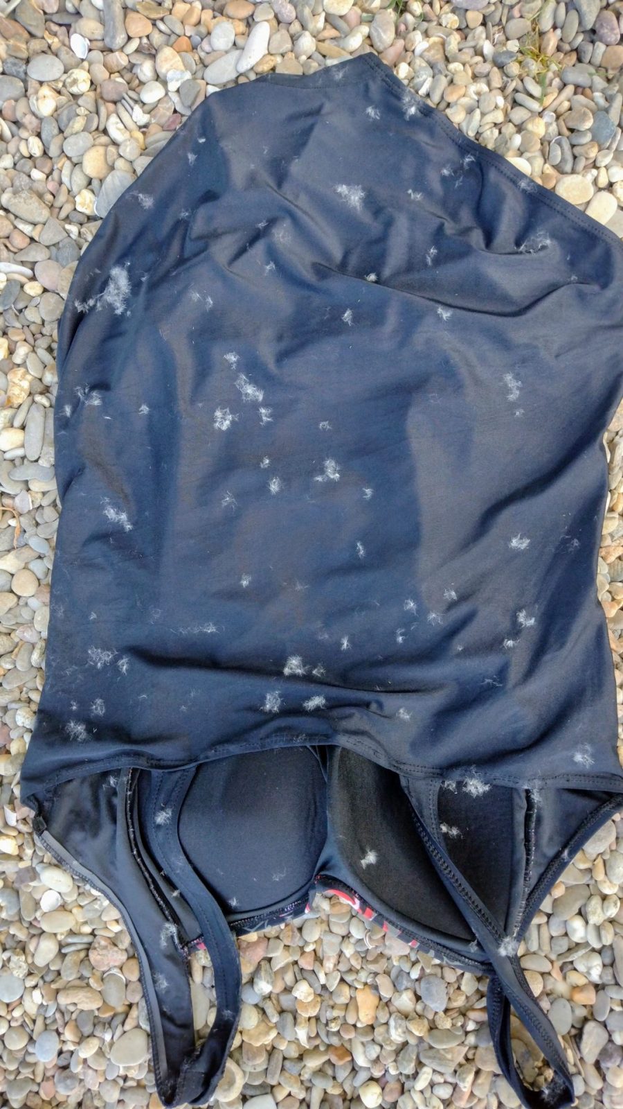 IMG_20240812_184857302