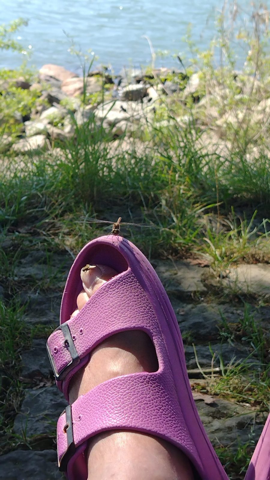 IMG_20240815_105243107