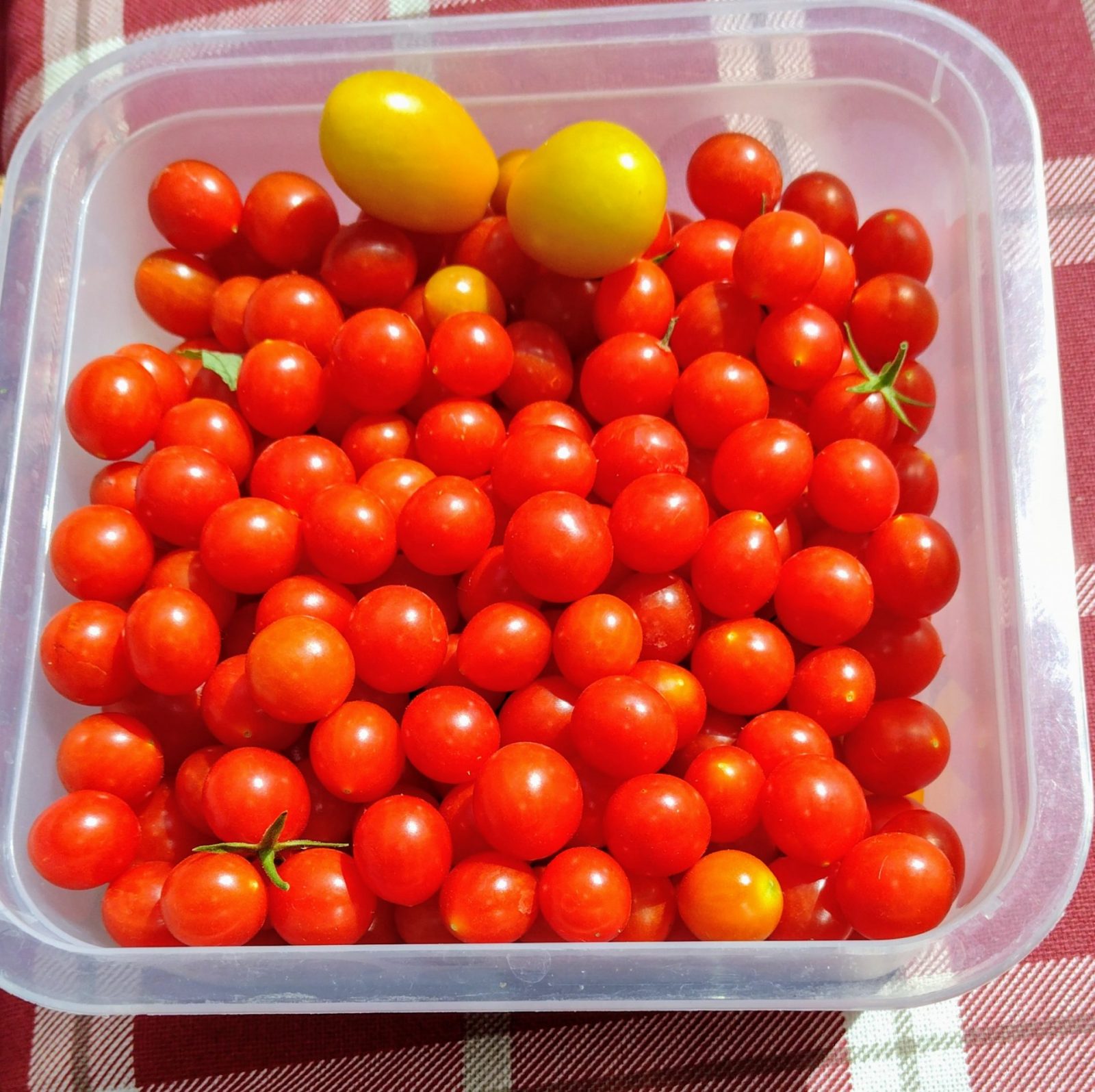 IMG_20240817_120356256