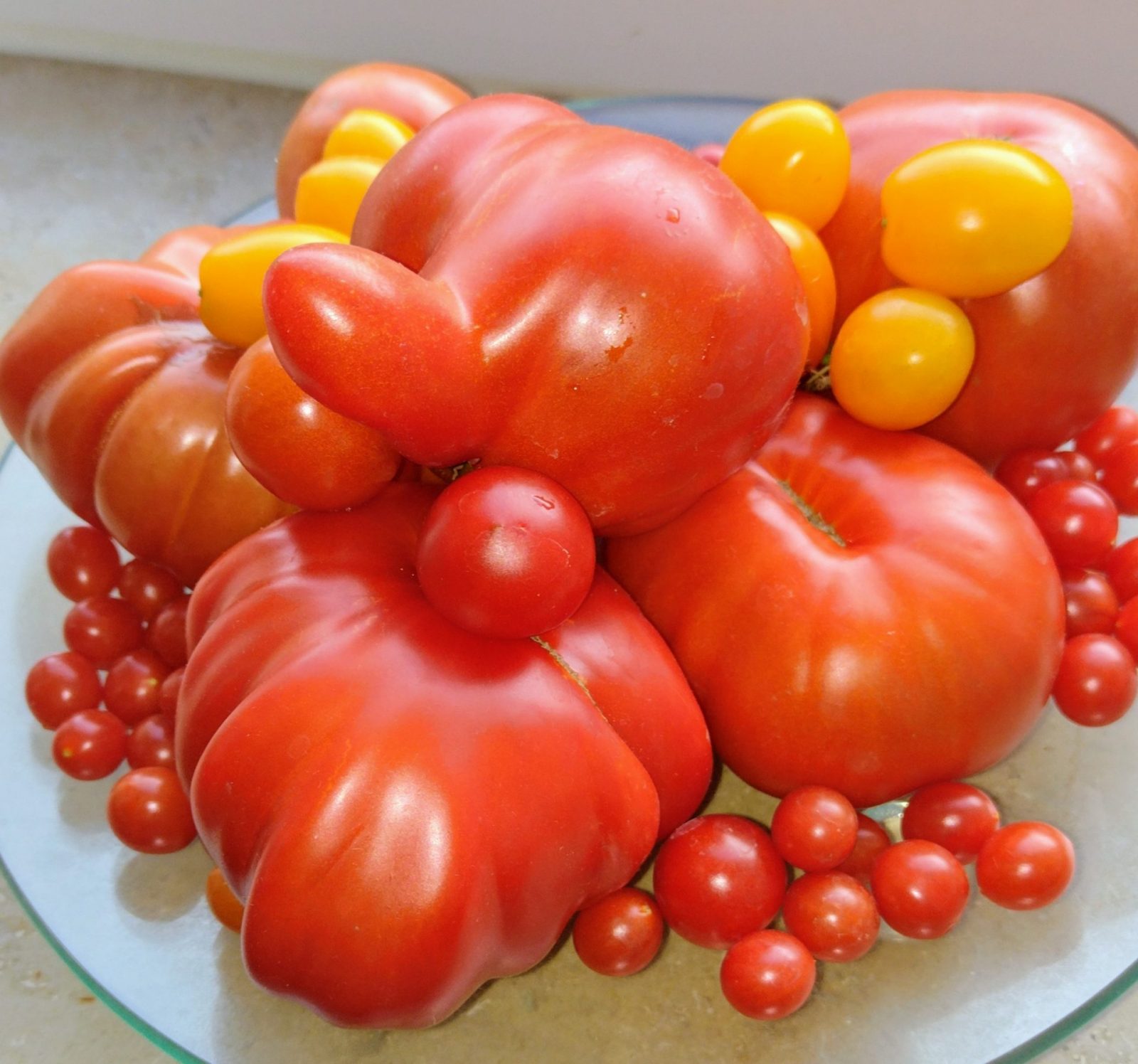 IMG_20240823_190451166