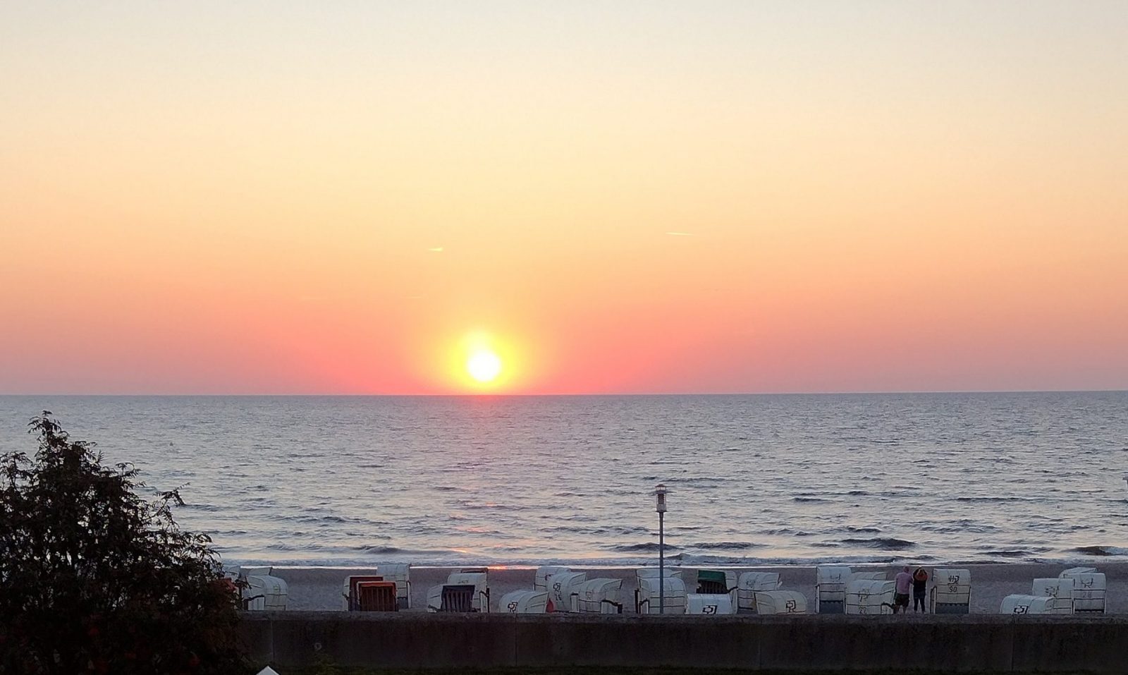 IMG_20240828_062414002