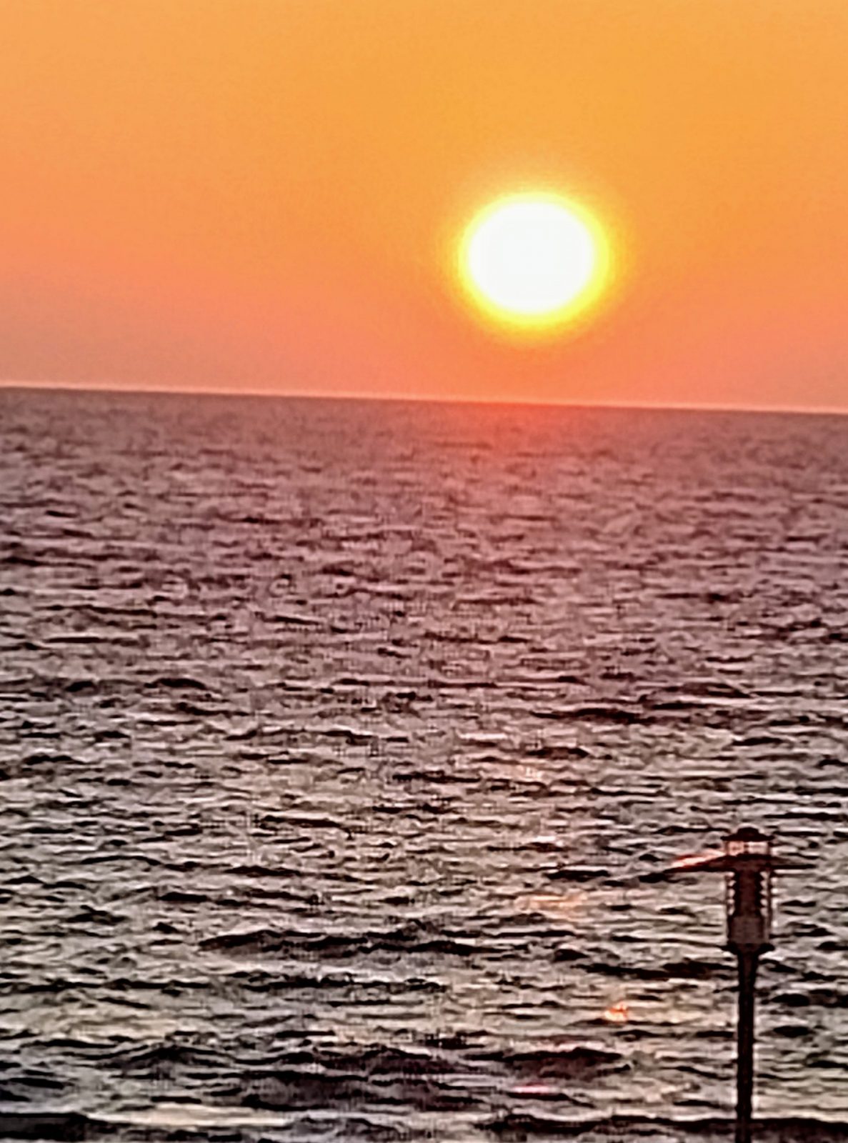 IMG_20240902_063406867