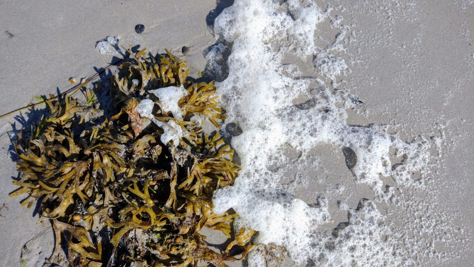 IMG_20240902_102340709