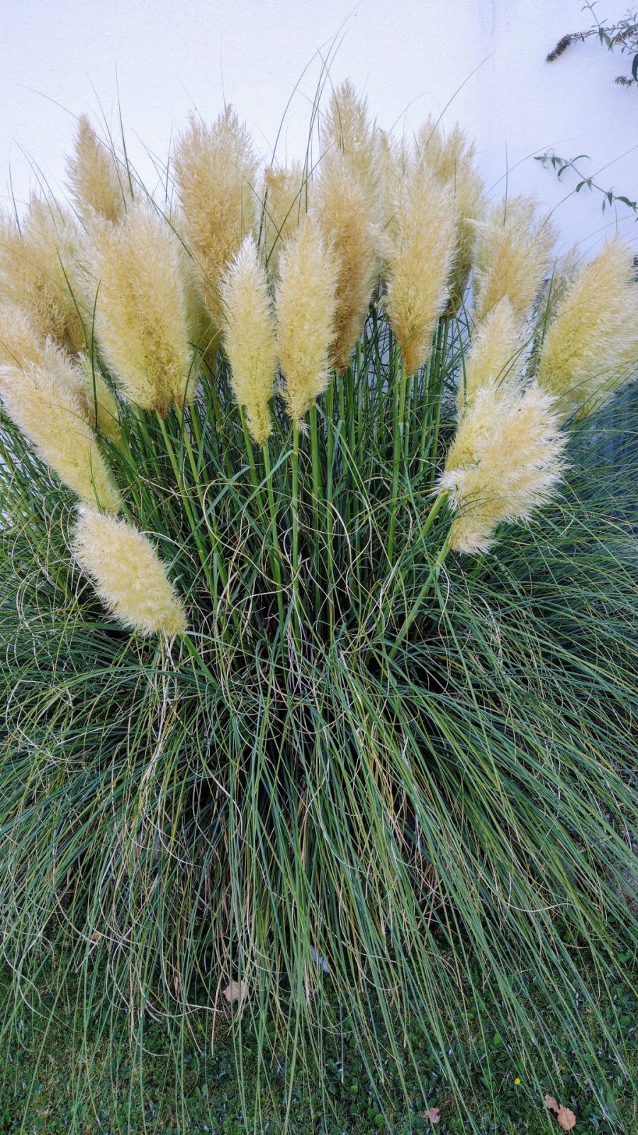 IMG_20240906_092110602