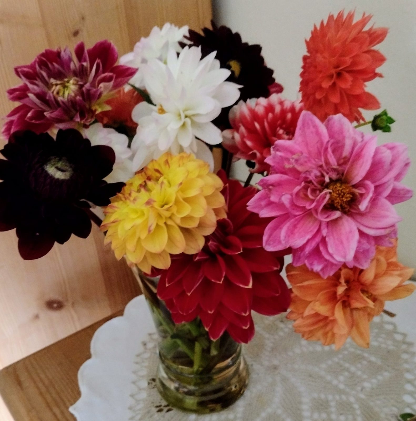 IMG_20240914_082045775