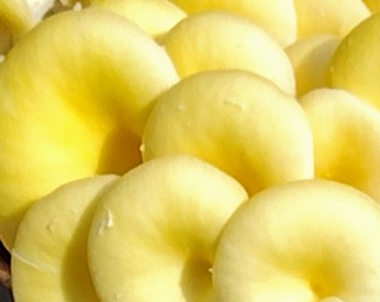 IMG_20240914_104449373