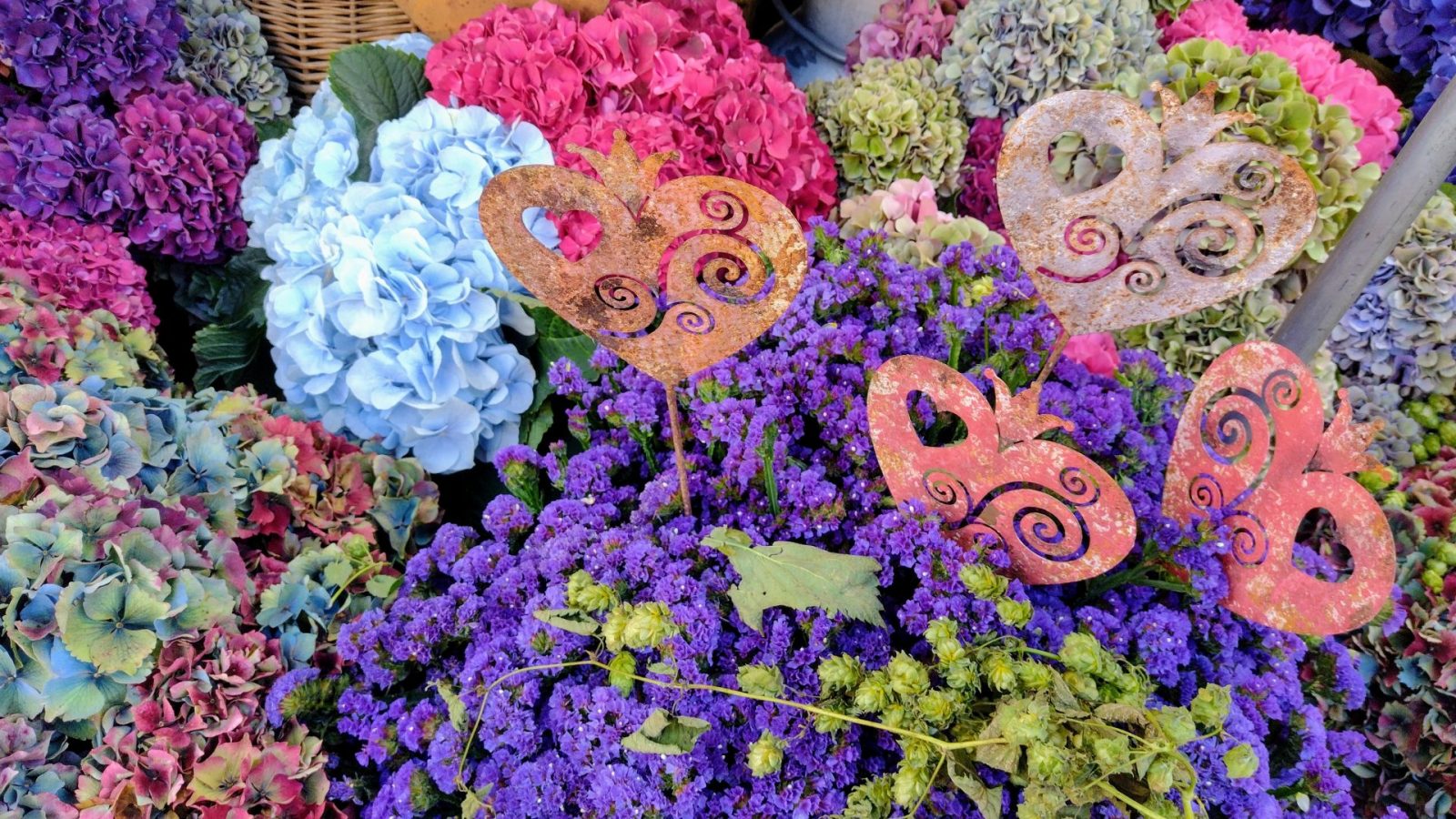 IMG_20240914_111004834