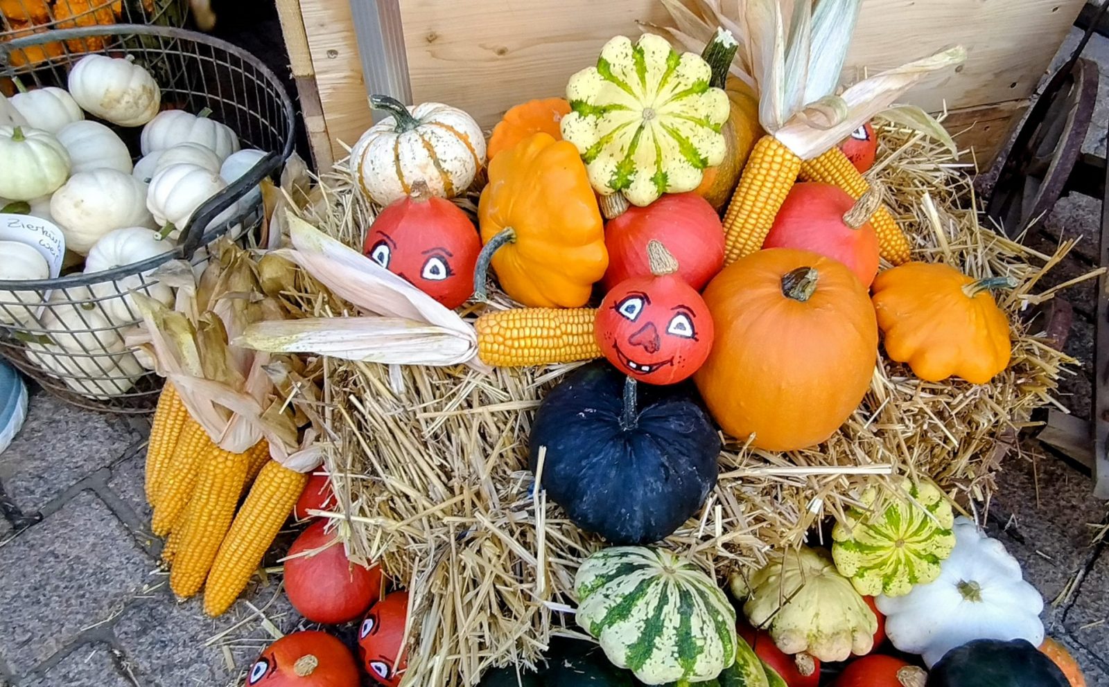 IMG_20240914_112328959~2