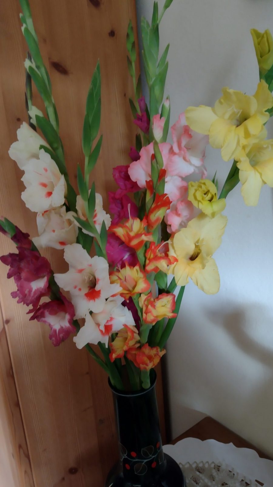 IMG_20240915_083147148