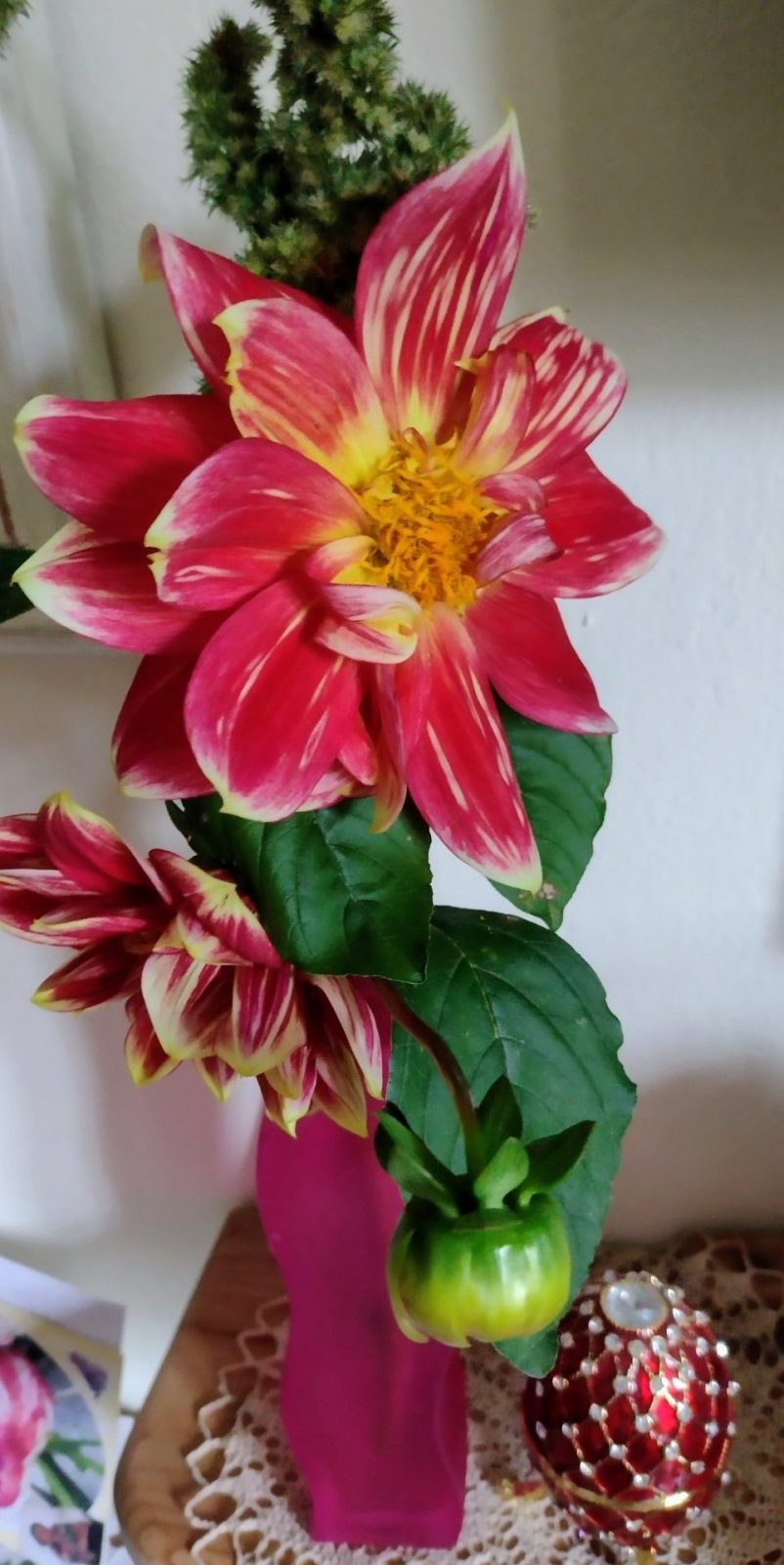 IMG_20240930_092122355